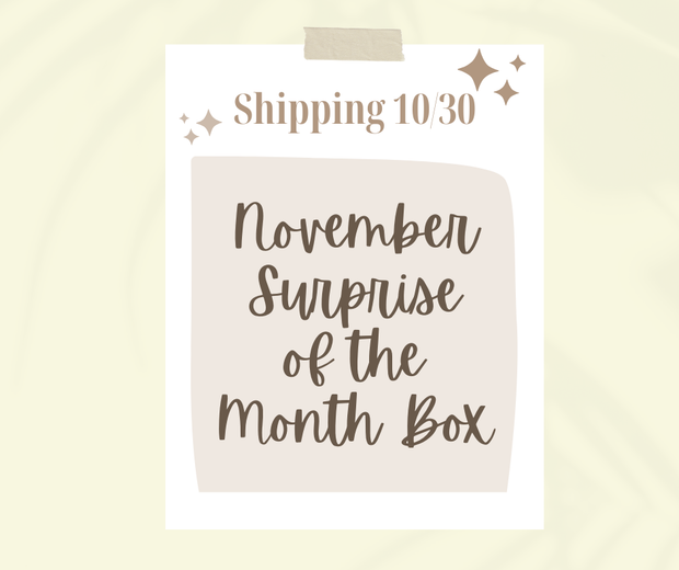 November Clean Haven Naturals Surprise Monthly Subscription Box