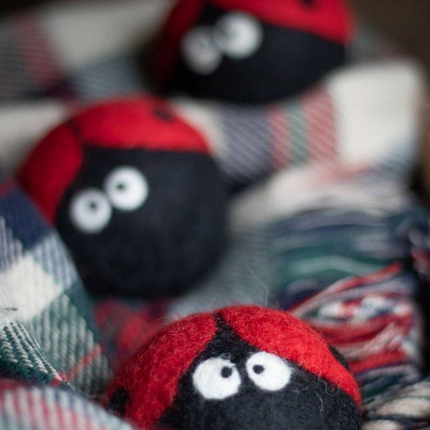 Ladybug Trio Eco Dryer Balls - Set of 3