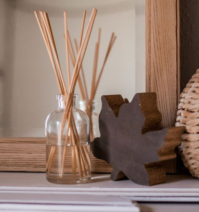 Reed Diffuser Bottle [Bottle Only - NO Oils or Reeds]