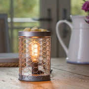 Chicken Wire Vintage Bulb Illumination Warmer